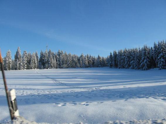 Ferienwohnung Bodehexe 2 Braunlage Exterior foto